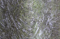 Sutton Mandeville fibreglass roof work